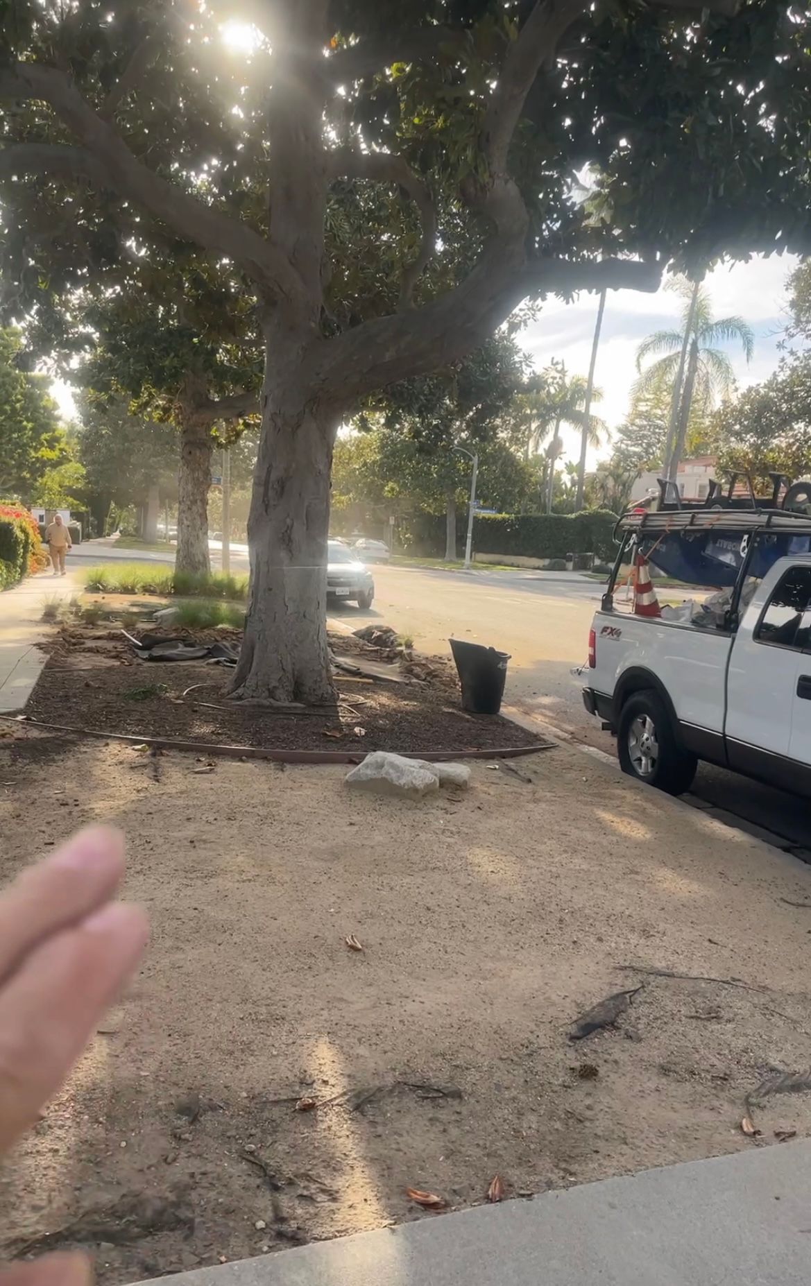 Moreno Garden Service Image